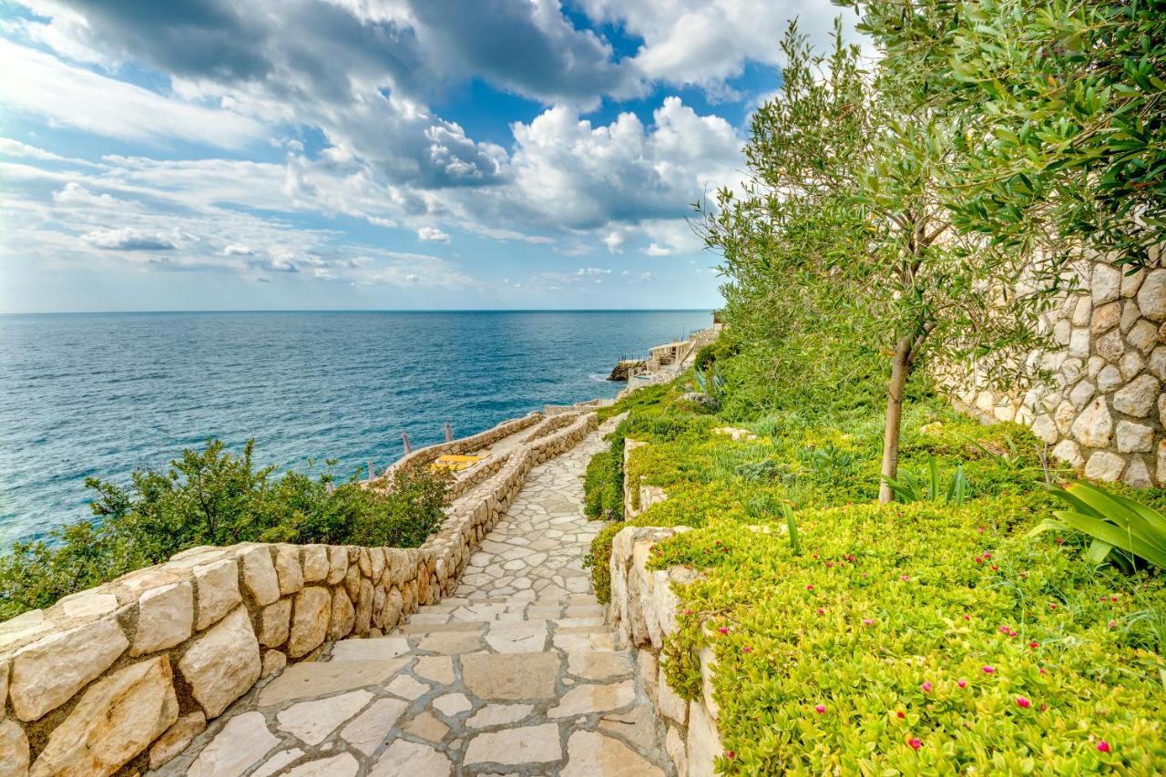 Sveti Luka *